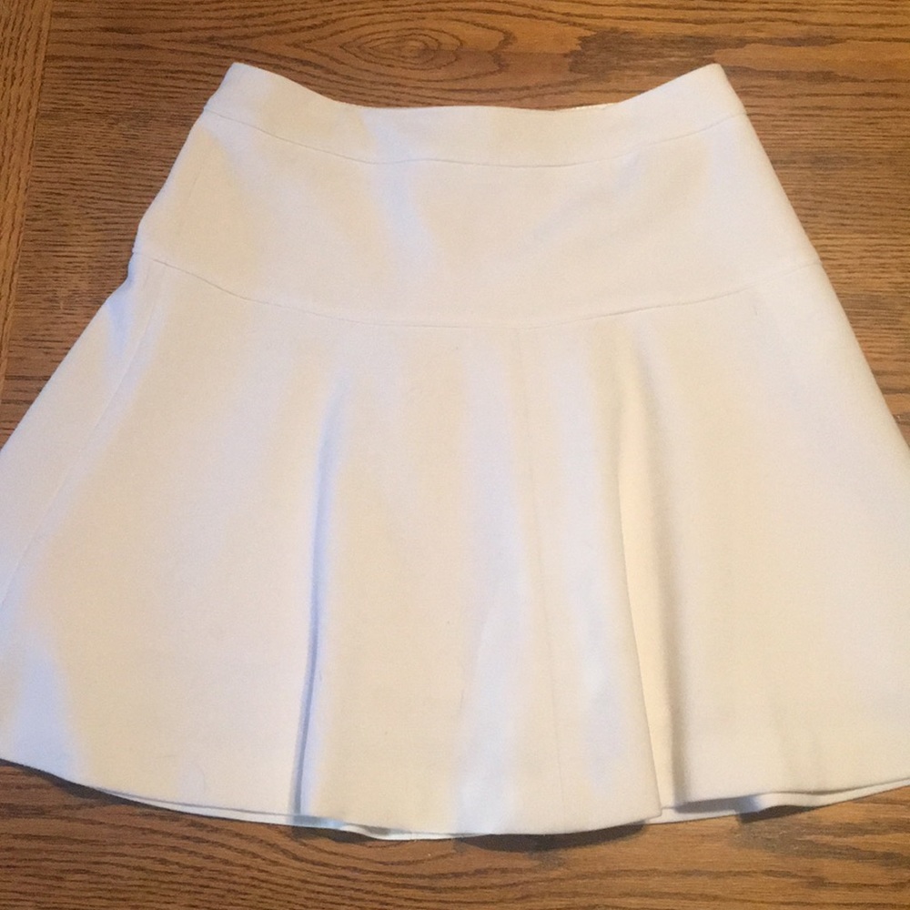 Size 2 Banana Republic Skirt White